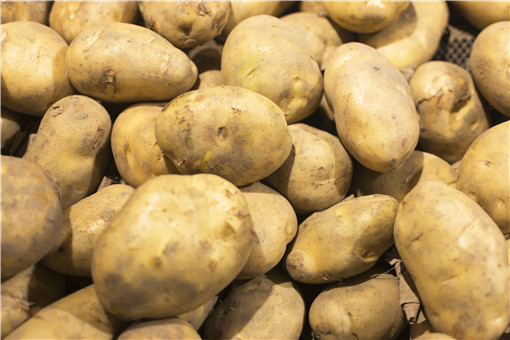 马铃薯的种植方法是什么？马铃薯用什么繁殖？