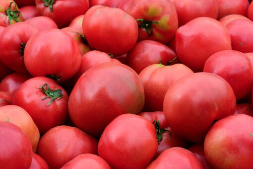 怎么鉴别催熟西红柿？催熟西红柿吃了有哪些危害？