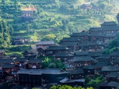 贵州锦屏县扶贫产业链的延伸如何实现？需做到建链、补链、强链！