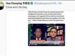 华春莹发推称中国不会成为伊拉克！华春莹怎么说？附事件完整过程！