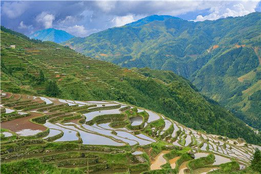 休闲农业与乡村旅游有什么区别？如何利用休闲农业和乡村旅游发展？