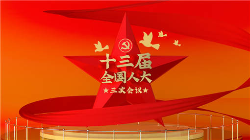 2020全国人大会议