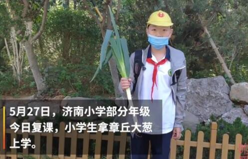 山东小学生复课带大葱