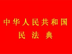 人大专家独家解读民法典！充分反映人民意愿，为公权力行使划定了界限！