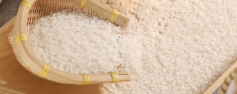 一百斤稻谷能出多少米