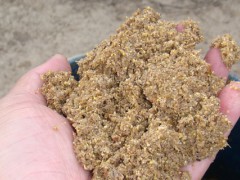 关于花肥的种植问题！米糠怎么发酵做花肥？