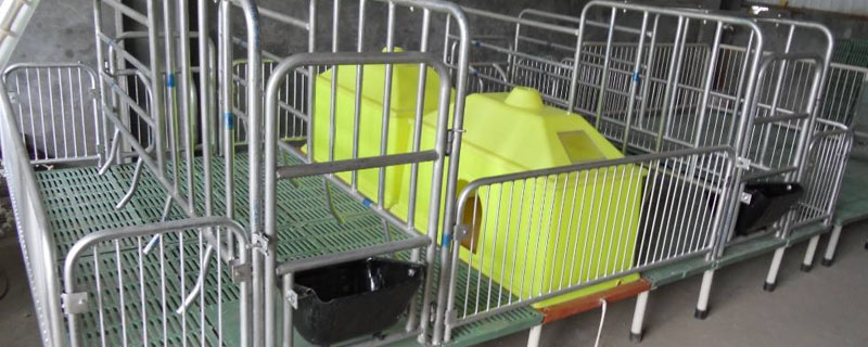 自己焊母猪产床尺寸?关于母猪的养殖问题!