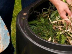 关于堆肥的种植问题！厨余堆肥简单方法？