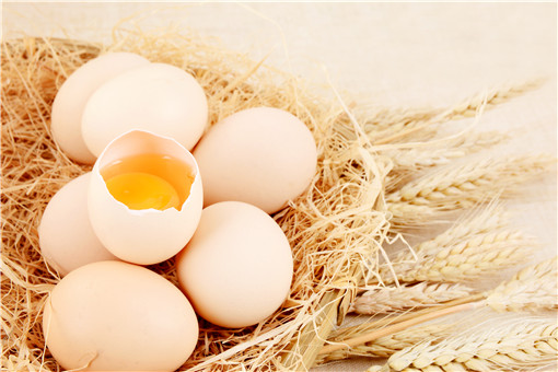 山东鸡蛋价格创年内新低