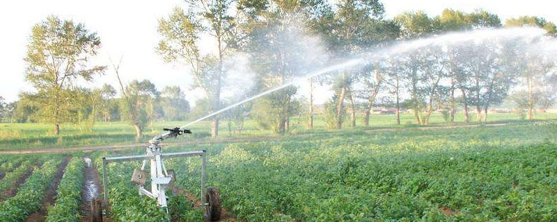 西亚的灌溉<a href=https://www.dadasou.com/ny/ target=_blank class=infotextkey>农业</a>区主要分布在