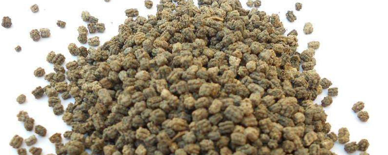 蚕沙可以直接做花肥吗？关于养蚕的养殖问题！