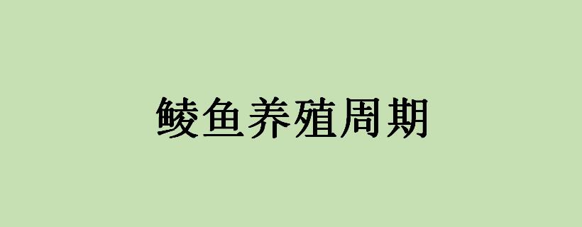鲮鱼<a href=https://www.dadasou.com/ny/yangzhi/ target=_blank class=infotextkey>养殖</a>周期