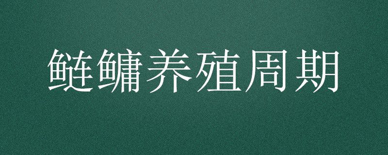 鲢鳙<a href=https://www.dadasou.com/ny/yangzhi/ target=_blank class=infotextkey>养殖</a>周期