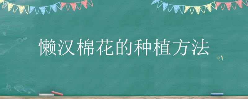 懒汉棉花的种植方法