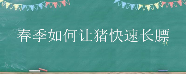春季如何让猪快速长膘