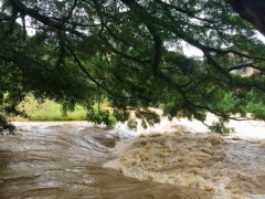 太湖2020年第1号洪水来袭！哪些地方迎来暴雨？遇到洪灾如何自救？
