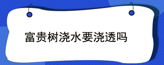 富贵树浇水要浇透吗