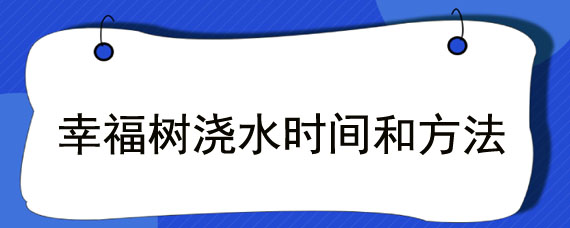 幸福树浇水时间和方法