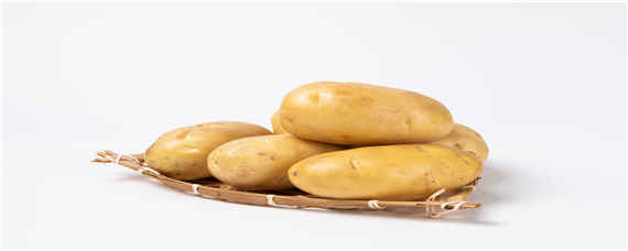 土豆室内催芽方法