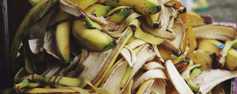 烂香蕉怎么做肥料