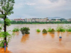 中国气象局连发三个预警！洪涝灾害形成的原因因和防范措施有哪些？