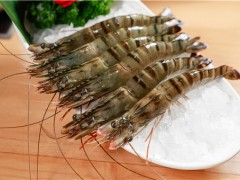 厄瓜多尔冻南美白虾外包装检出新冠病毒！具体是怎么回事？南美白虾还能吃吗？