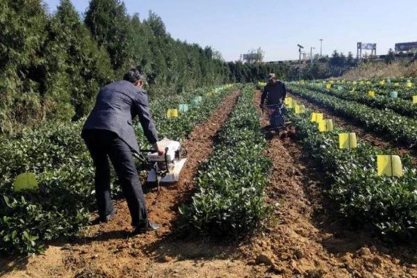 土壤改良方法?关于土壤改良的问题!