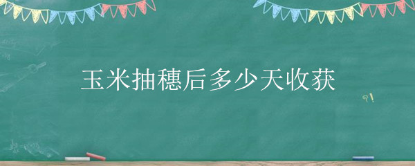 玉米抽穗后多少天收获