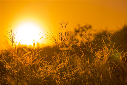 2020年立秋是几月几号?今年是早立秋还是晚立秋?有哪些习俗? - 达达搜