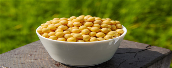 钼肥对豆类的作用