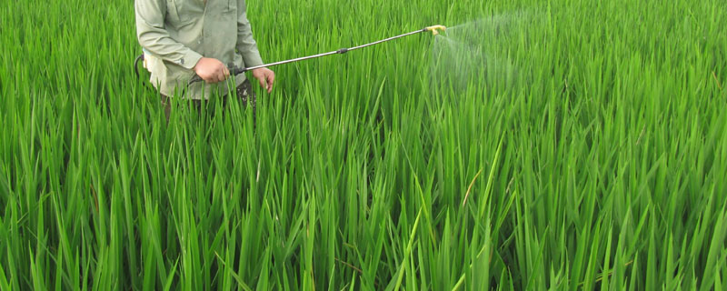 乙草胺打完了下雨管用吗,打完后多久可以种东西？关于乙草胺的问题！