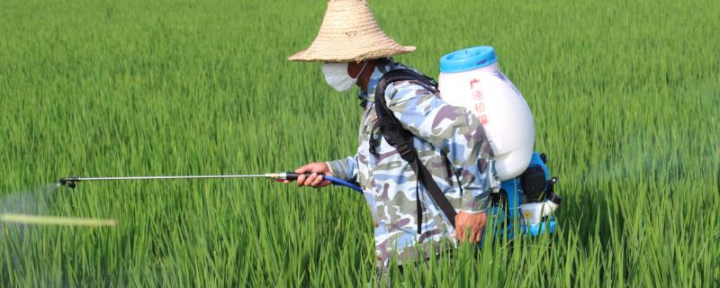 草甘膦和草铵膦能混合用吗