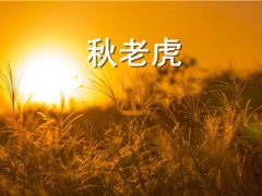 秋老虎是什么节气什么时候？一般有多少天？是怎么形成的？