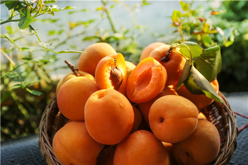 黄桃的种植与管理技术是什么-摄图网