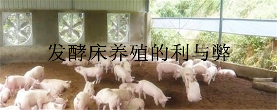 发酵床<a href=https://www.dadasou.com/ny/yangzhi/ target=_blank class=infotextkey>养殖</a>的利与弊