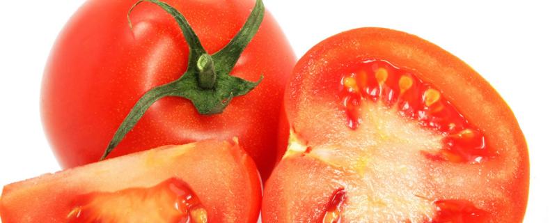 西红柿未成熟就腐烂是啥原因,要怎么防治