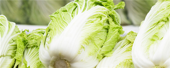 大白菜用什么复合肥