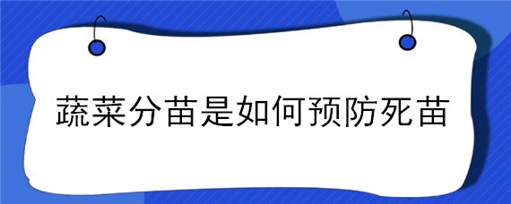 蔬菜分苗是如何预防死苗