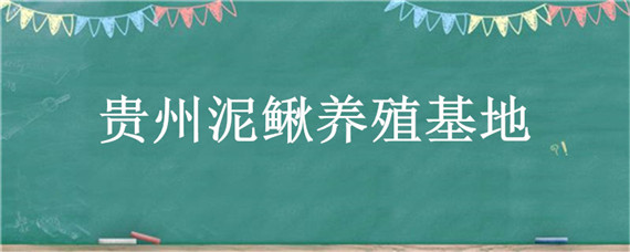 贵州泥鳅养殖基地