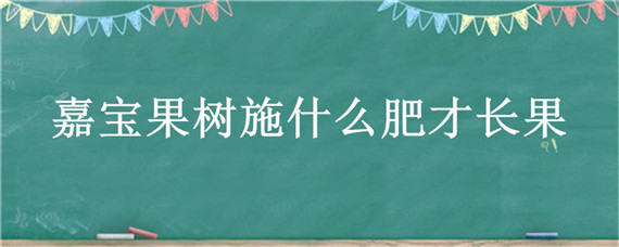 嘉宝果树施什么肥才长果