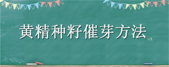 黄精种籽催芽方法