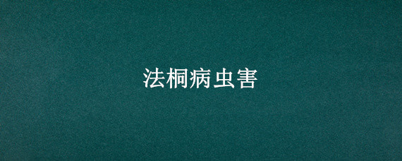 法桐病虫害