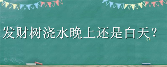 发财树浇水晚上还是白天