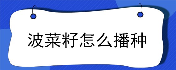 波菜籽怎么播种