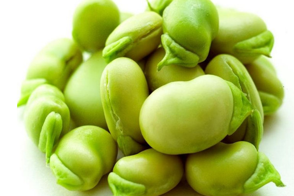 茴香豆是什么豆