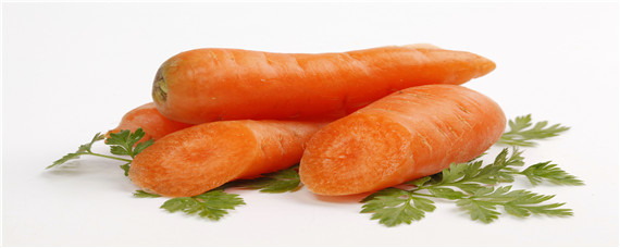 胡萝卜的催芽方法