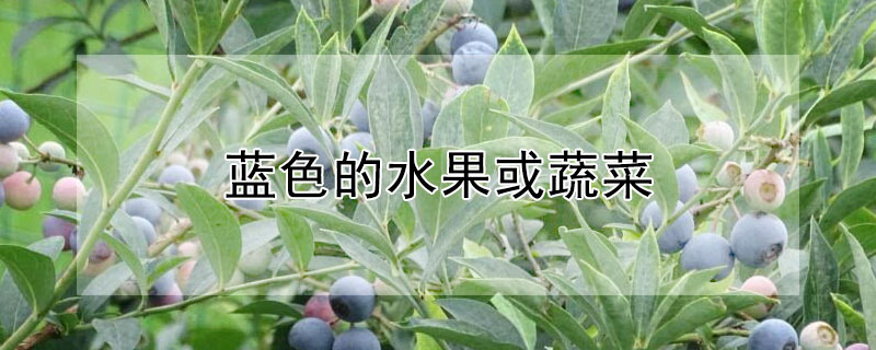 蓝色的水果或蔬菜