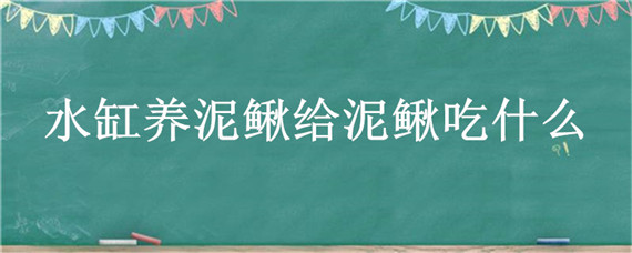 水缸养泥鳅给泥鳅吃什么？家里养泥鳅喂什么食物？