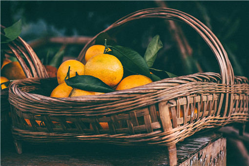 柑桔怎么种植技术？未来几年柑橘产业发展会怎样？