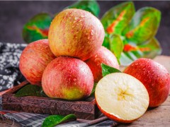 丑苹果哪个产地好吃？丑苹果几月份成熟？和普通苹果有什么区别？